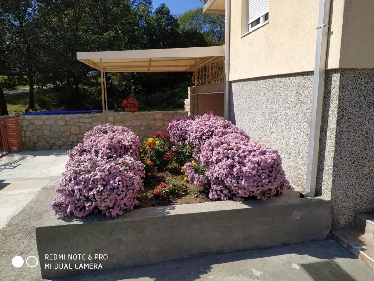 Гостевой дом Cicvaric rooms Вирпазар-7