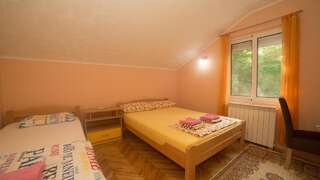Гостевой дом Cicvaric rooms Вирпазар Двухместный номер с 1 кроватью-1
