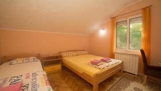 Гостевой дом Cicvaric rooms Вирпазар Двухместный номер с 1 кроватью-16