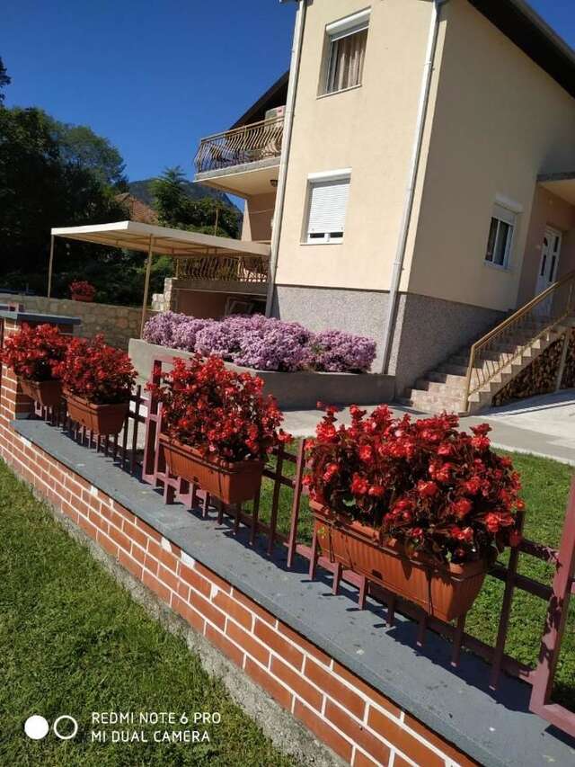Гостевой дом Cicvaric rooms Вирпазар-4