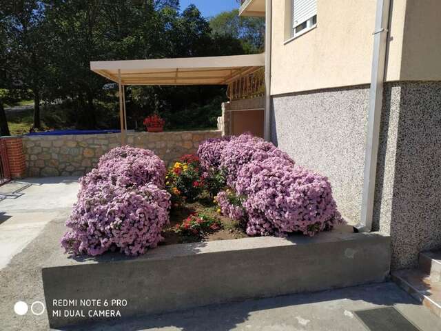 Гостевой дом Cicvaric rooms Вирпазар-6